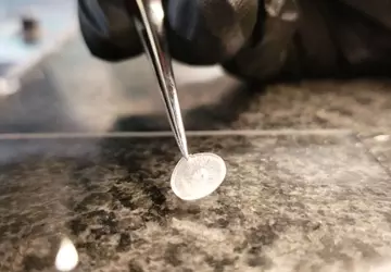 Opracowane przez Harvard błony bębenkowe drukowane ...