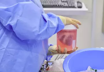 Naukowcy przeszczepili genetycznie zmodyfikowane świńskie serca ...