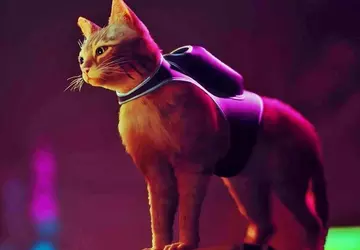 Strona dla Xboxowej wersji Stray została ...