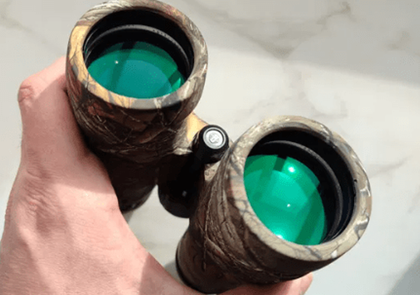 Najlepsza lornetka 10x42 Bushnell Trophy za te pieniądze