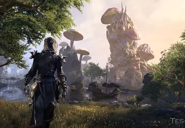 "Twórcy The Elder Scrolls V: Skyrim ...