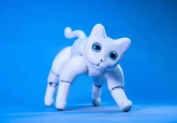 Kickstarter uruchamia startup z wypracowania najmilszego ...