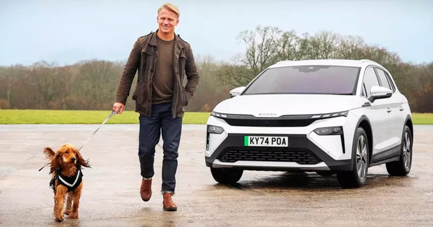 Psy wybierają samochody elektryczne: badanie dowodzi mniej stresujących podróży