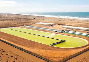 Największy na świecie staw wzrostu alg ...