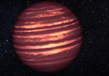 Australijscy naukowcy odkryli najzimniejszego z rzadkich ...