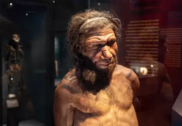 Sztuczna inteligencja przywróciła do życia neandertalskie ...