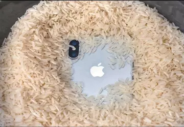 Apple wzywa użytkowników do zaprzestania wkładania ...