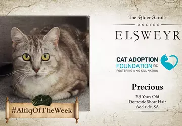 Bethesda pomóże australijskim Khajiici znaleźć nowy ...