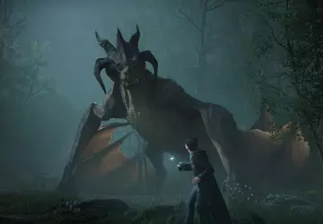 Dla fanów Harry'ego Pottera: Hogwarts Legacy ...