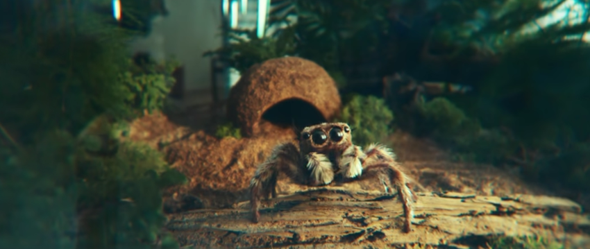 Pająk zakochał się w Galaxy S22 Ultra – Samsung opublikował zabawną reklamę nowości