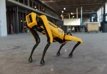 277 000 PLN za niezawodny węch: ...