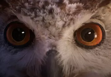 Magiczna sowa zaprasza do Szkoły Magii! ...