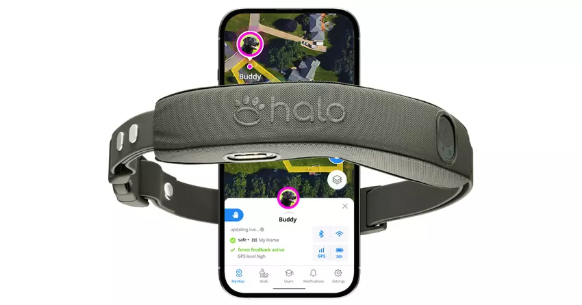 Halo Collar 5: «inteligentna» obroża, która lepiej śledzi psa niż fitness tracker właściciela