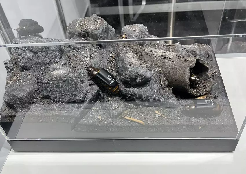 Naturalna mobilność bio-elektronicznych owadów oferuje nowe możliwości