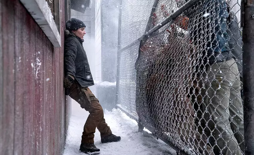 Droga zemsty trwa: drugi sezon The Last of Us zakończył się, ale zapoczątkował przyszłość dla kontynuacji brutalnej historii w 3 sezonie