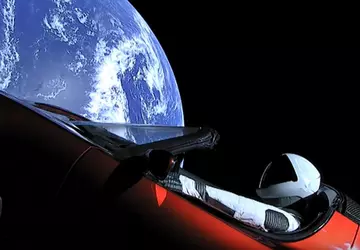 Elon Musk i twórcy „Świat Dzikiego ...