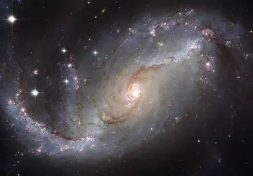 Naukowcy ponownie przeanalizowali obaloną hipotezę starzenia ...