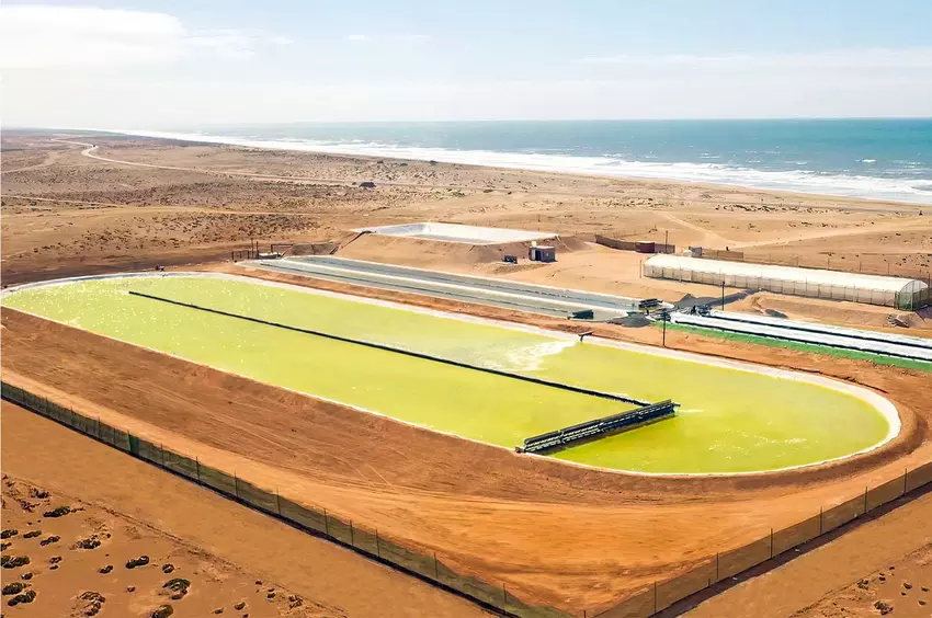 Największy na świecie staw wzrostu alg wykorzystuje technologię opartą na naturze do przechwytywania emisji CO2