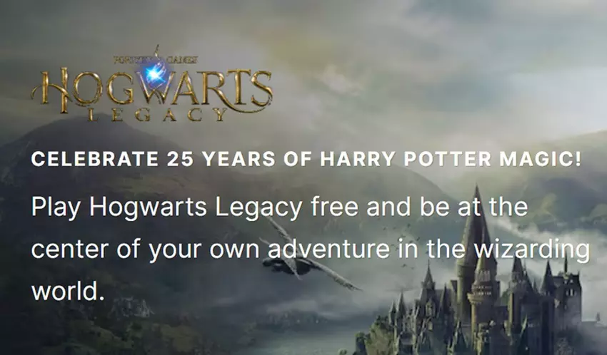 Obraz Hogwarts Legacy