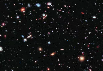 To już oficjalne: Maisies to jedna ...