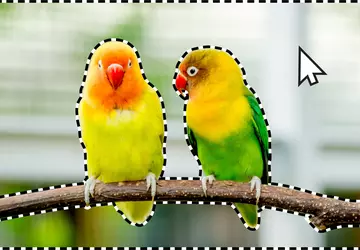 Adobe dodało narzędzia AI do zaznaczania ...