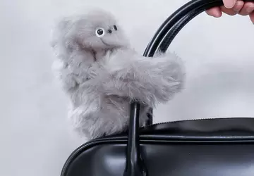 10 najdziwniejszych urządzeń na targach CES ...