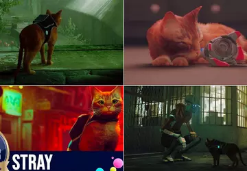 Historia Stray: jak kot z cybernetycznego ...