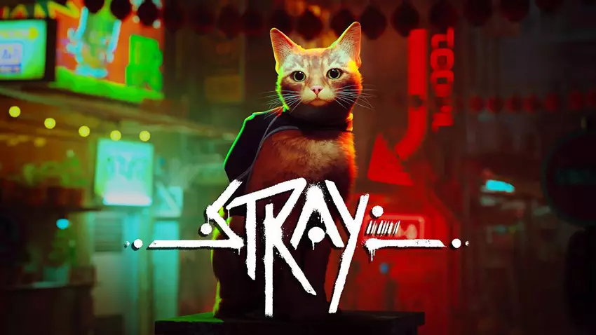 Stray stała się najpopularniejszą grą Annapurna Interactive na Steamie