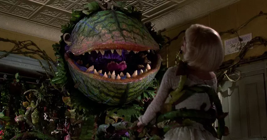 Reżyser kultowych "Gremlinów", Joe Dante, wyreżyseruje reboot komediowego horroru "Little Shop Of Halloween Horrors".
