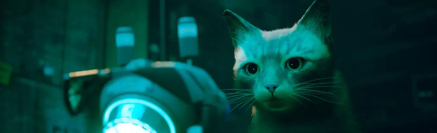 Historia Stray: jak kot z cybernetycznego miasta stał się odkryciem roku i wpłynął na przemysł gier
