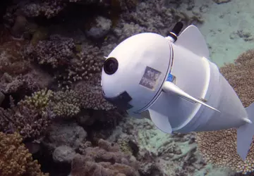 Robot SoFi będzie szpiegował swoich krewniaków ...