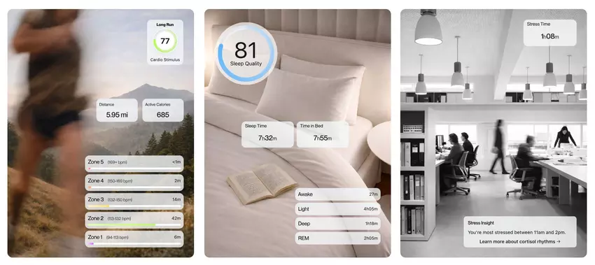 Opaska fitness Fort i jej aplikacja