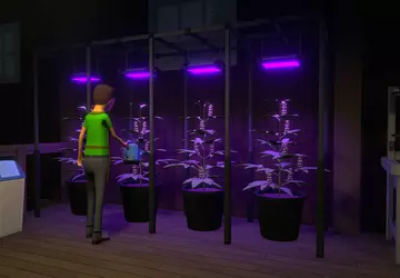 Pozew sądowy przeciwko indykowi hitowi Schedule ...