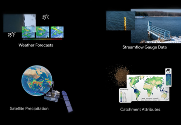 Google wykorzystał sztuczną inteligencję do przewidywania ...