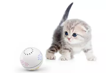 Xiaomi MiJia PN: inteligentna piłka dla ...