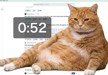 Gruby kot blokuje social media: sprytne ...