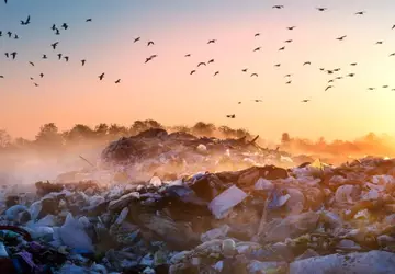Nowe badanie ujawnia tragiczny wpływ składowisk ...
