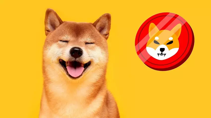 Shiba Inu joke token w górę o 331% i do top 20 kryptowalut dzięki Ilonowi Muskowi