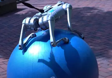 Naukowcy wykorzystują sztuczną inteligencję do szybszego ...