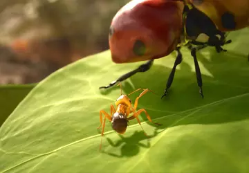 Użytkownicy konsol PlayStation 5 i Xbox ...