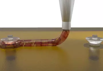 Naukowcy z Harvard's Wyss Institute wydrukowali ...