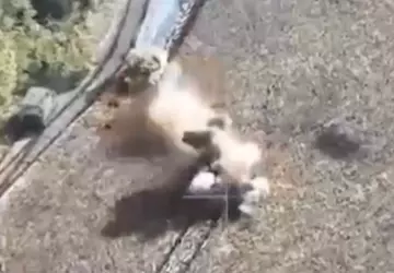 Wideo dnia: Ukraiński czołg trafia rosyjski ...