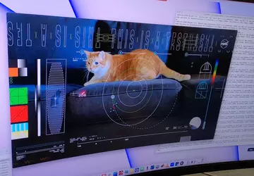 Psyche przesłała wideo kota z głębokiego ...