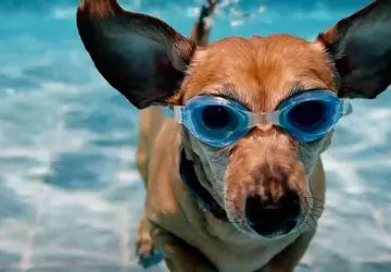 W Gemini Advanced dodano generację wideo ...