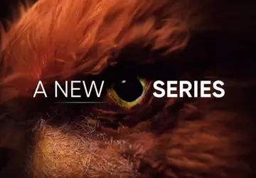 Realme ogłosiło wprowadzenie na rynek nowej ...