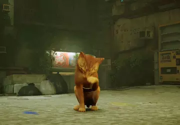 Teraz kot ze Stray może nie ...