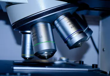 Google tworzy firmę opracowującą leki