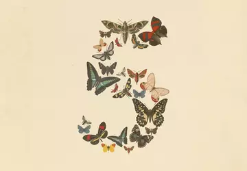 Anthropic blokuje dostęp do Fable 5: ...