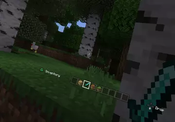 Minecraft na PlayStation nie będzie już ...