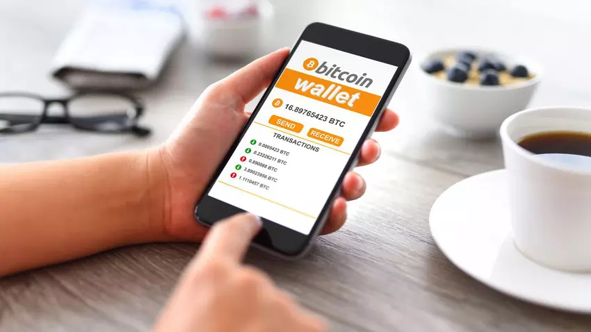 Portfel Bitcoin, który był nieaktywny od 8 lat ożył - fortuna urosła z 6 600 $ do 16 370 000 $